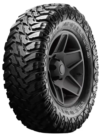 Cooper Evolution MTT POR