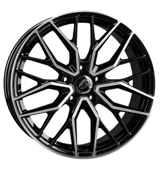 Damina Performance Damina Performance DM20 Black polish